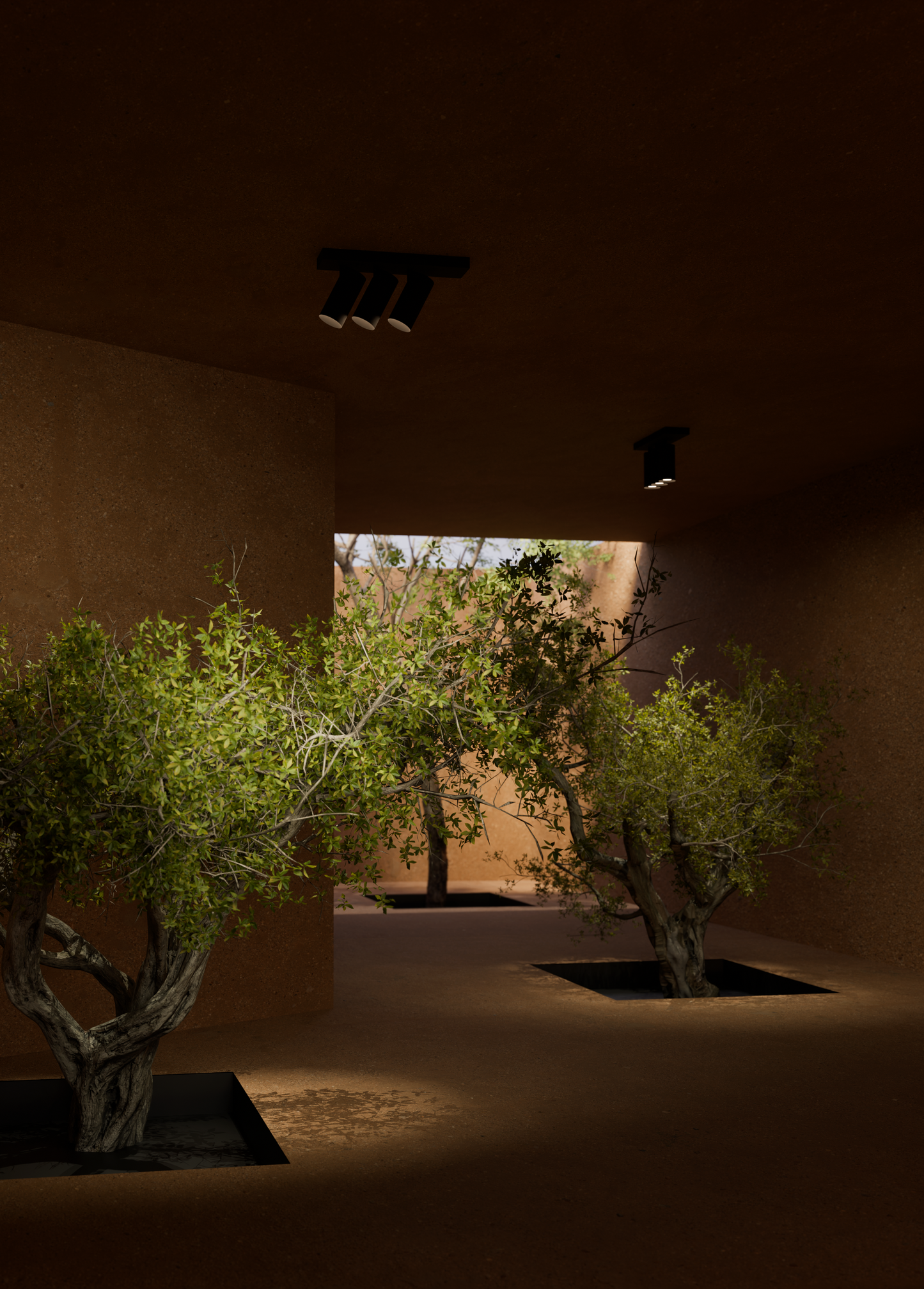 PM 55_on plate triple