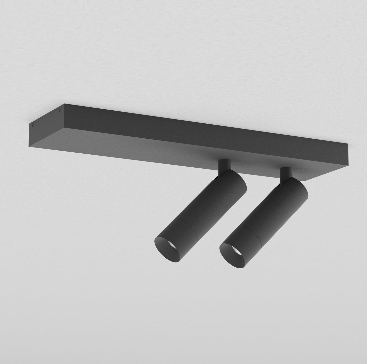 PM 33_on plate double