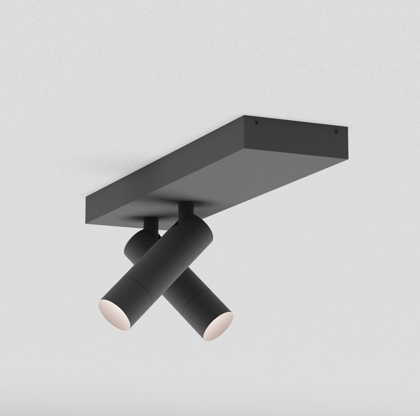 PM 33_on plate double