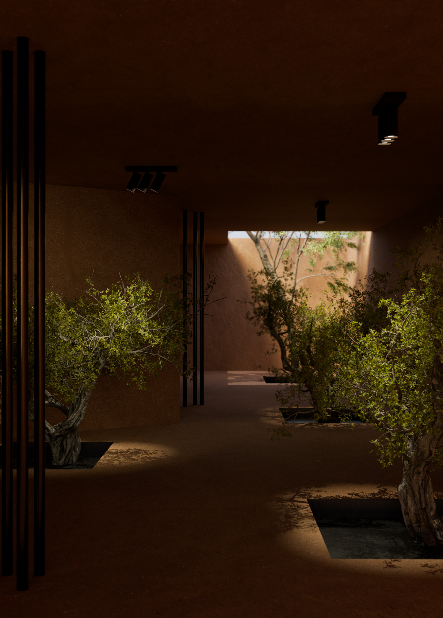 PM 55_on plate triple